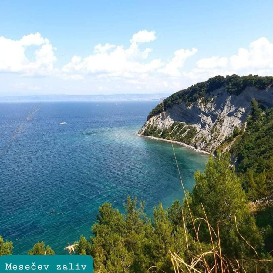 Apartmaji Soncek Izola Dış mekan fotoğraf