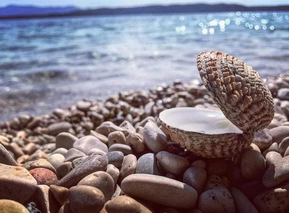 Apartmaji Soncek Izola Dış mekan fotoğraf