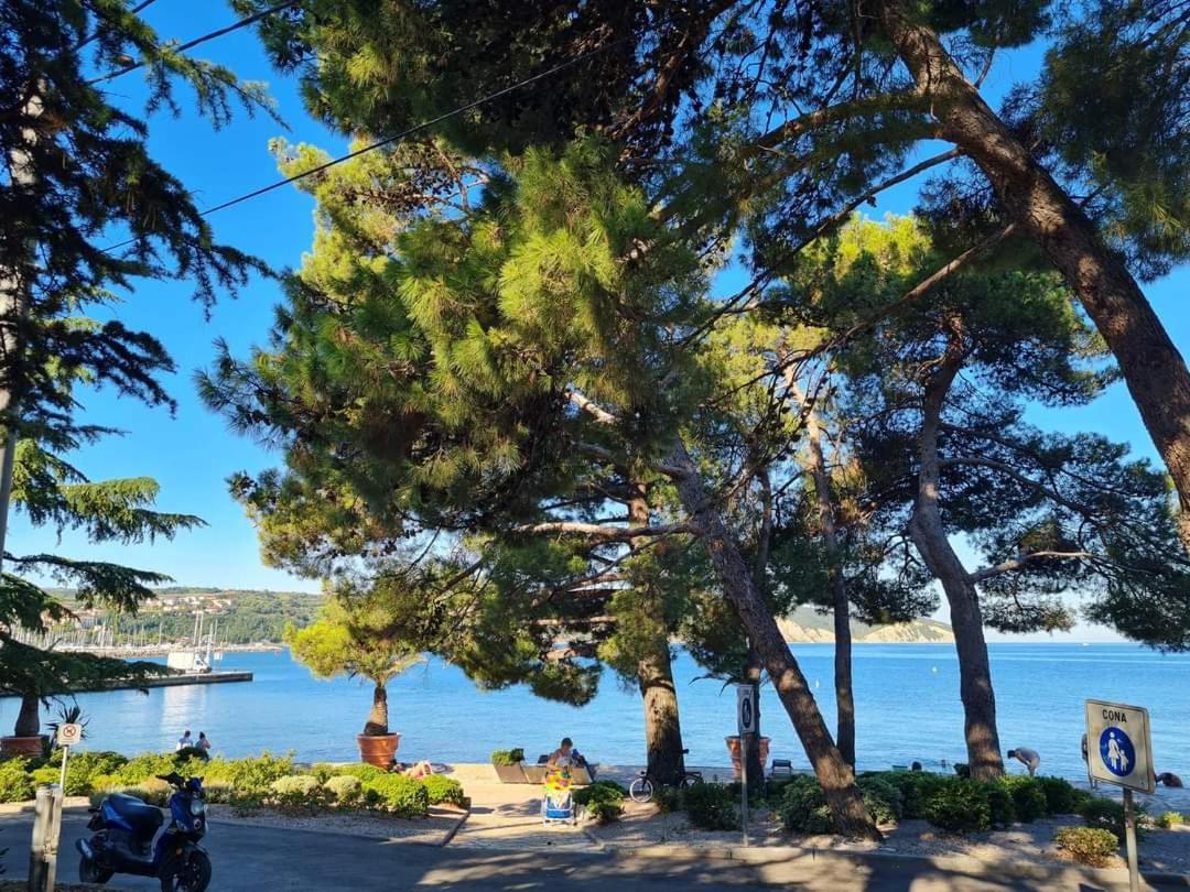 Apartmaji Soncek Izola Dış mekan fotoğraf