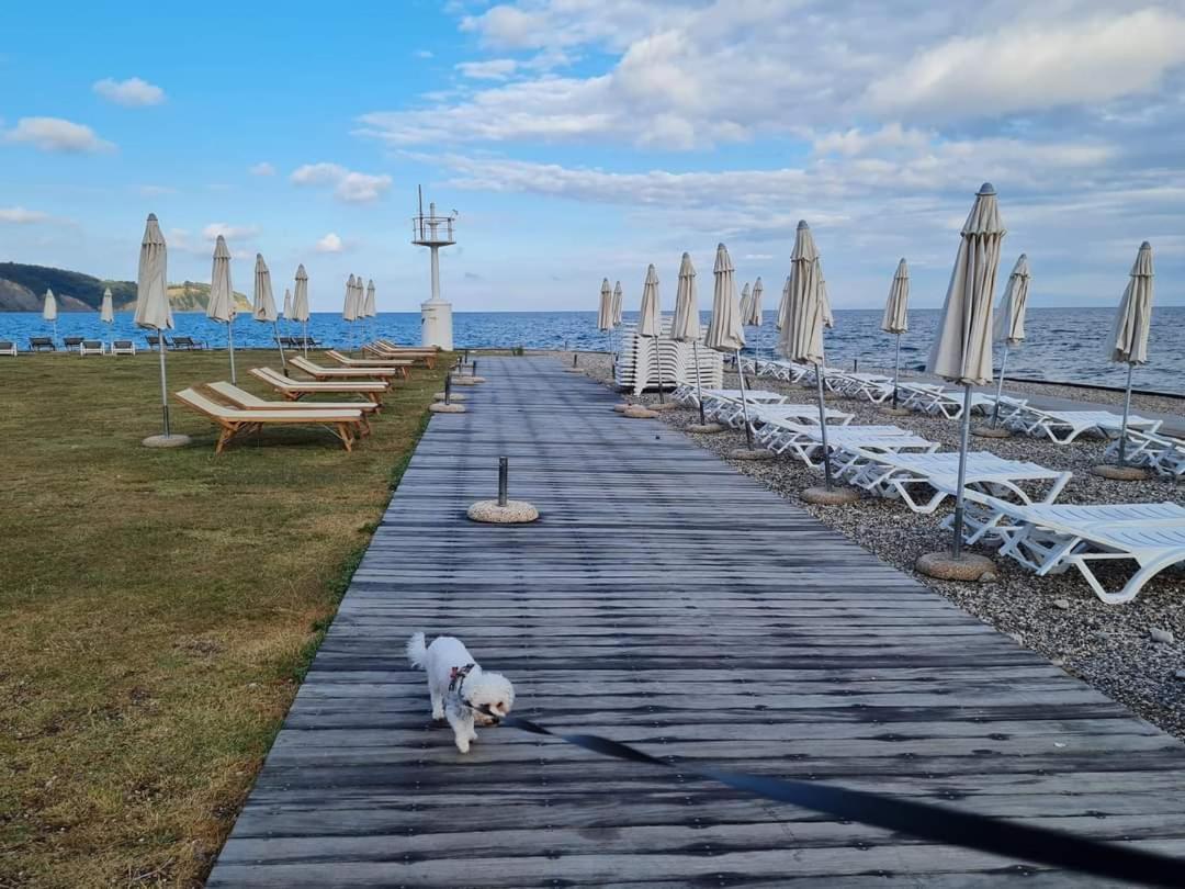 Apartmaji Soncek Izola Dış mekan fotoğraf