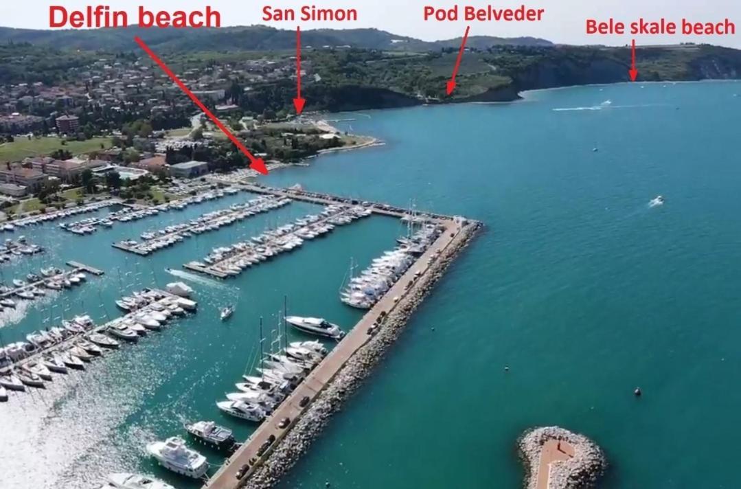 Apartmaji Soncek Izola Oda fotoğraf
